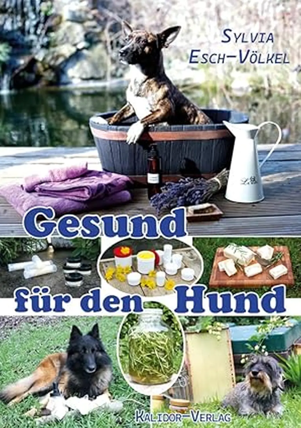 Kraft- und Schutzschilde